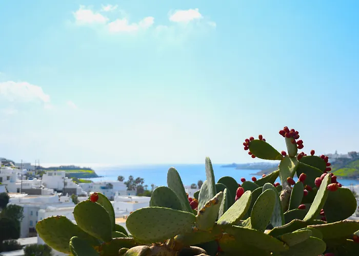 Ξενοδοχείο Amperian Mykonos & 4*