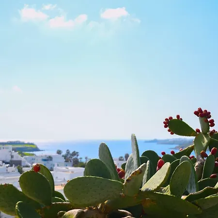 Amperian Mykonos & 호텔